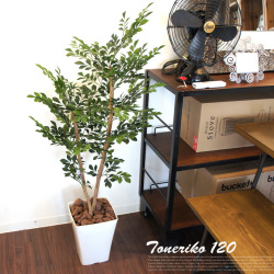 トネリコ120　光触媒　イミテーショングリーン