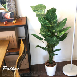 ポトス　イミテーショングリーン