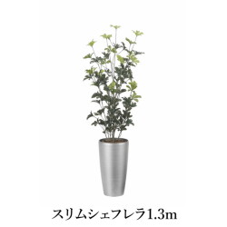 スリムシェフレラ1.3（ポリ製）   造花 光触媒 フェイクグリーン 2532A280-19 リビング 消臭 華やか