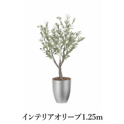 インテリアオリーブ1.25m   造花 光触媒 フェイクグリーン 2591A300-20 リビング 消臭 華やか