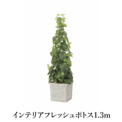 インテリアフレッシュポトス1.3m   造花 光触媒 フェイクグリーン 2574A400-19 リビング 消臭 華やか