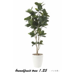 パンの木1.25m   造花 光触媒 フェイクグリーン 611AP240-55 リビング 消臭 華やか