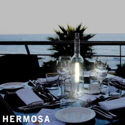 照明 ハモサ HERMOSA ボトルライト LED BOTTLE LIGHT LED BOT-001 インテリア アウトドア 照明器具