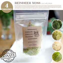 レインディアモス URBAN GREEN MAKERS