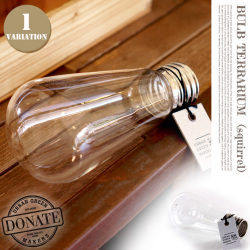 テラリウムキット～バルブテラリウム　スクワール　URBAN GREEN MAKERS