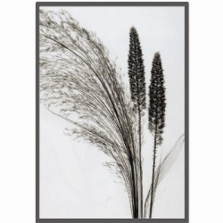 Steven N.Meyers アートフレーム ジェイアイジー(JIG) Broom Grass 【送料無料】