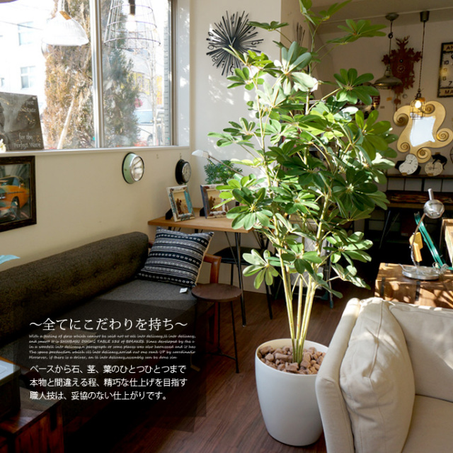 【美品】CABANE deZUCCa SAVON ライトグリーン 美品】CABANE deZUCCa SAVON ライトグリーン 美品】CABANE