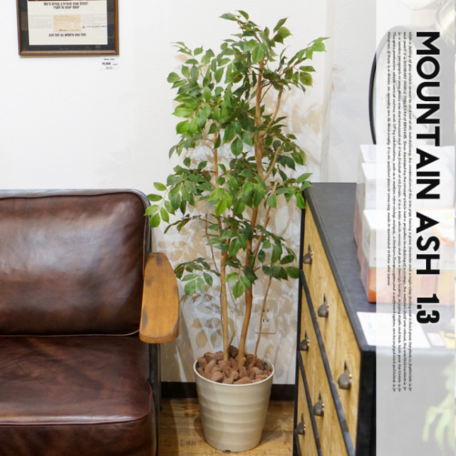 マウンテンアッシュ1.3(mountain ash ) 光触媒 イミテーショングリーン
