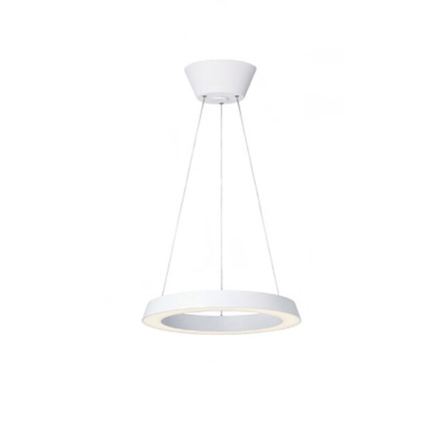 アートワークスタジオ　 円形　ホワイト　ペンダントライト ベースライト 照明 Loop LED-pendant light ループLEDペンダントライト ライト