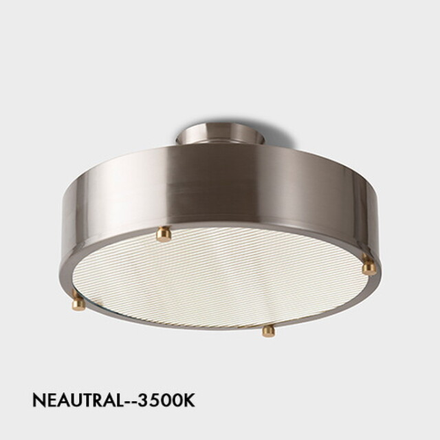 照明 NEIL CEILING LAMP N（SILVER） ニール シーリングランプN