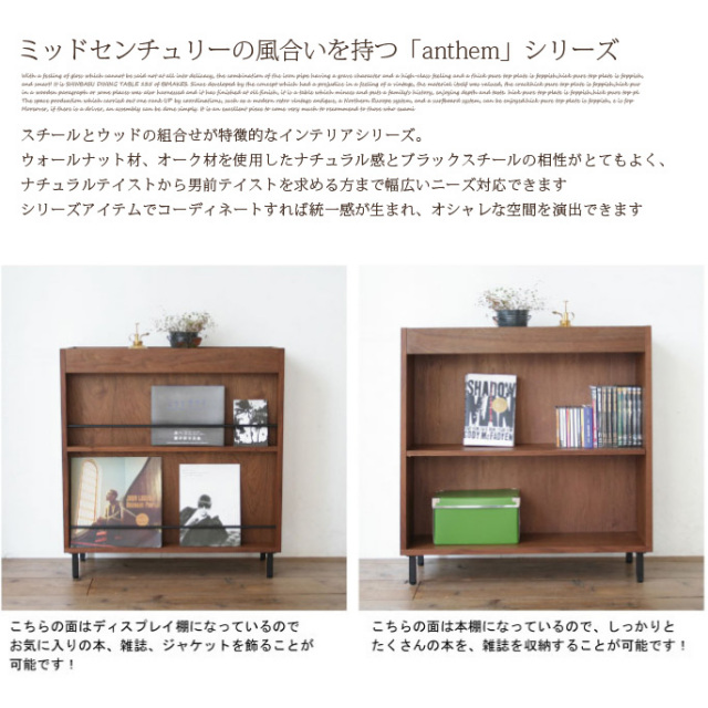 アンセム パーテーションラック anthem Partition Rack ANR-2393BR 