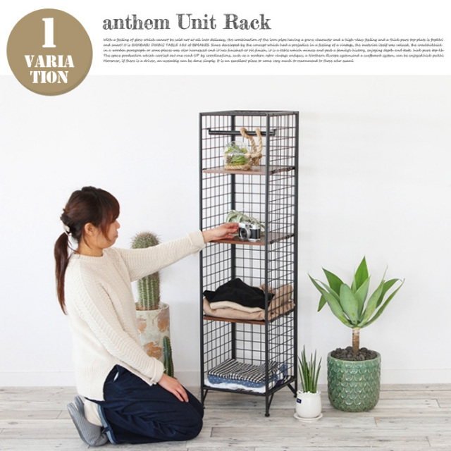 アンセム ユニットラック anthem Unit Rack ANR-2904BR 収納家具
