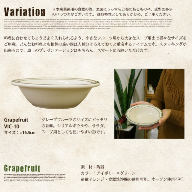 ヴァイスロイグレープフルーツ FROM U.S.A. VIC-10 食器 ボウル 皿