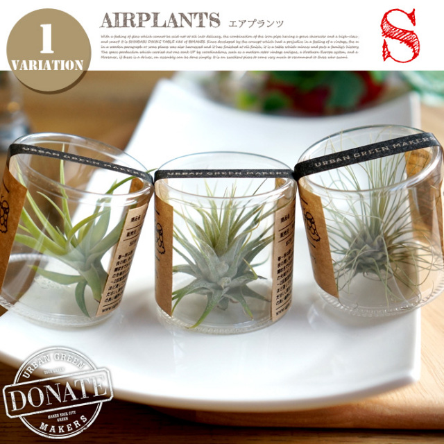 エアプランツs Urban Green Makers デザイナーズ家具 デザインインテリア雑貨 ｂｉｃａｓａ ビカーサ 送料無料 家具通販 激安ショップインテリア雑貨インテリア雑貨 その他