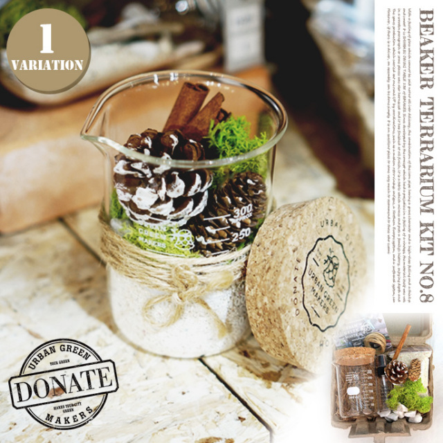 テラリウム No.08 初めてのアクアテラリウム No.8 パルダリウム