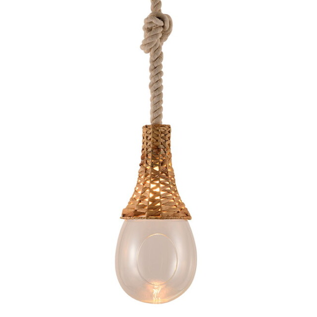 パラキン ペンダントライト BOTANIC HANGING BASKET LIGHT ボタニック
