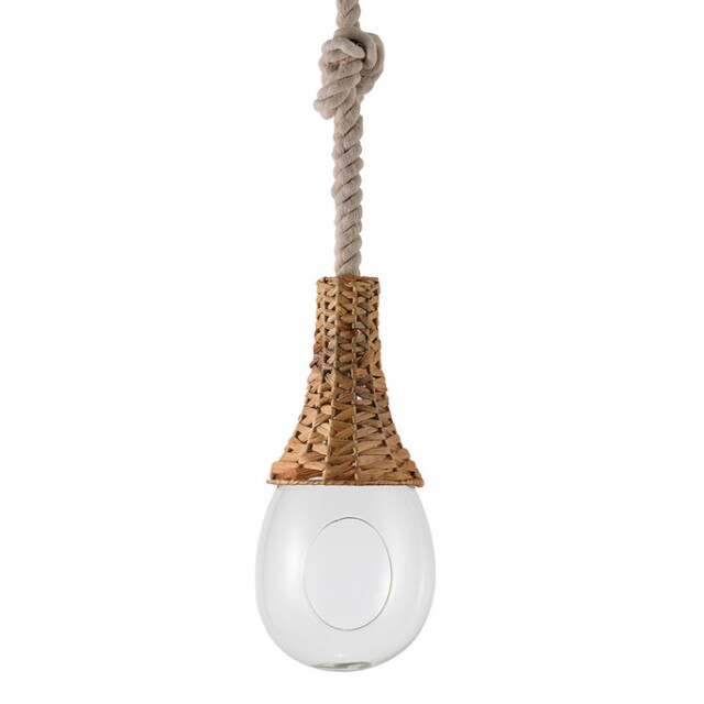 【値下げ不可】ボタニカル　ペンダントライト ペンダントライト BOTANIC HANGING BASKET LIGHT ボタニック