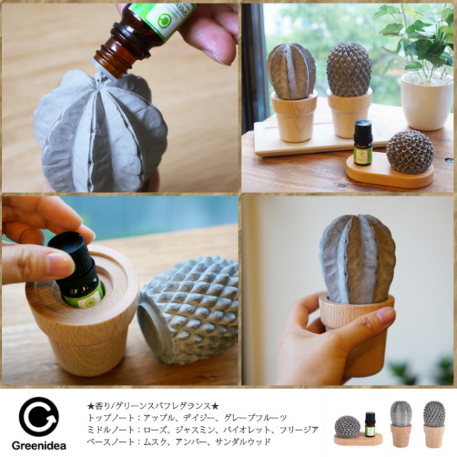 スターカクタス コンクリートディフューザー 5ml グリーンスパ Green