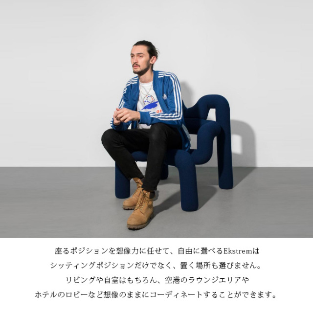 チェア エクストレム バランスチェア イージーチェア 椅子