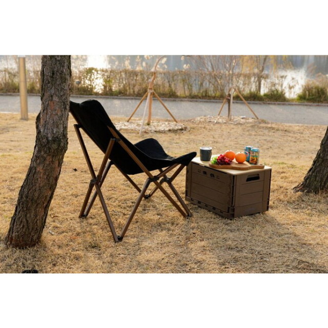 椅子 WS CANVAS LONG CHAIR WSキャンバスロングチェア イス いす 