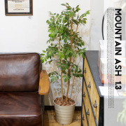 マウンテンアッシュ1.3(mountain ash ) 光触媒 イミテーショングリーン 送料無料