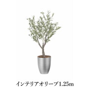 イミテーショングリーン｜家具・インテリア雑貨、アウトドア通販