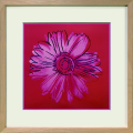 Andy Warhol Daisy c.1982 アートフレーム 4種 ラフィナート Daisy, c.1982 (crimson and pink)