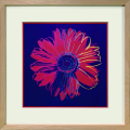 Andy Warhol Daisy c.1982 アートフレーム 4種 ラフィナート Daisy, c.1982 (blue & red)
