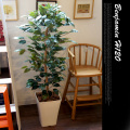 フィカスベンジャミン120　光触媒　イミテーショングリーン