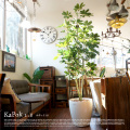 カポック1.8　光触媒　イミテーショングリーン　送料無料