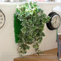 壁面緑化斑入りアイビー　光触媒　イミテーショングリーン