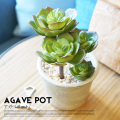アガベポット 光触媒 イミテーショングリーン 送料無料