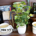 ミニアイビーポット 光触媒 イミテーショングリーン 送料無料