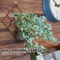 壁掛け班入りアイビー 光触媒 イミテーショングリーン 送料無料
