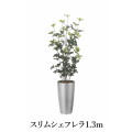 スリムシェフレラ1.3（ポリ製）   造花 光触媒 フェイクグリーン 2532A280-19 リビング 消臭 華やか