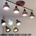 ハーモニーグランデリモートシーリングランプ HARMONY GRANDE-remoto ceiling lamp AW-0359 シーリング アートワークスタジオ ART WORK STUDIO