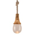 ペンダントライト アナザーガーデン Another Garden ボタニック ハンギング バスケット ライト BOTANIC HANGING BASKET LIGHT APE-027HCA ライト