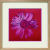 Andy Warhol Daisy c.1982 アートフレーム 4種 ラフィナート Daisy, c.1982 (crimson and pink)