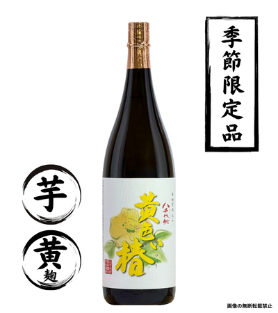 黄色い椿 1800ml 芋焼酎 八千代伝酒造 鹿児島
