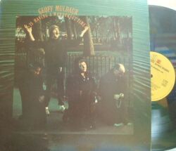【英Reprise】Geoff Muldaur/Is Having A Wonderful Time (Amos Garrett, Cornell Dupree, Ron Carter, etc)