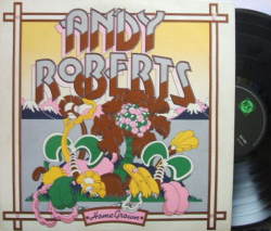 洋楽 ANDY ROBERTS ビッグ・ビート・レコードではプログレッシブ・ロック