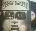【英Transatlantic】Stray/Move It