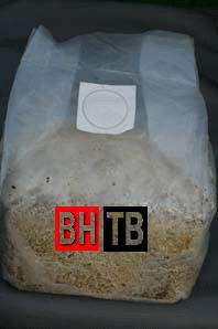 ブナ100%TBブロック1袋3.5L