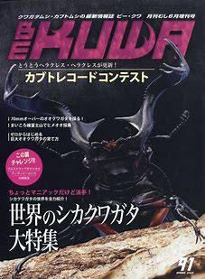 BE-KUWA　91　冬号