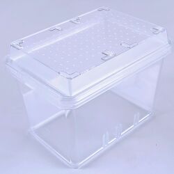 特許出願中新商品　【予約販売】早割！コバエさよなら飼育ケース（小）(仕切り付き)：10個セット