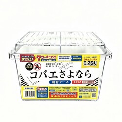 コバエさよなら飼育ケース（小）(仕切り付き)：10個セット