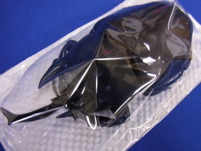 【標本】アクテオンゾウカブト　胸角太い良型（展足可） 標本用）アクティオンゾウカブト106ミリUP