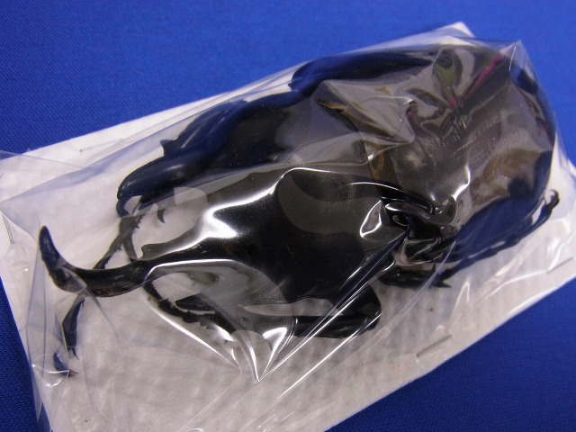 標本用）アクティオンゾウカブト106ミリUP その3