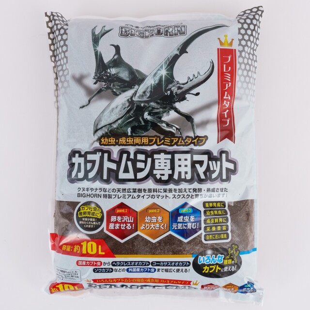 ヘラクレスヘラクレス3令幼虫オス単品2頭+今ならカブト虫専用マット 