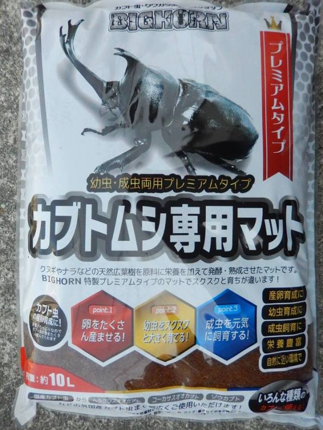 ヘラクレスレディ3令幼虫ペア 今ならカブト専用マット10L1袋付。
